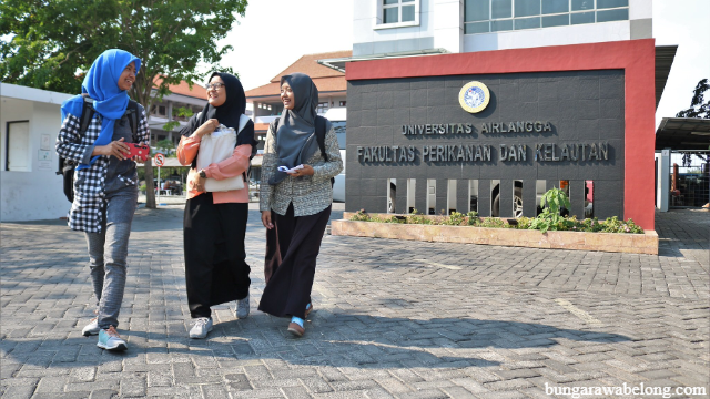 Perguruan Tinggi Negeri Indonesia Peluang Karir dan Wawasan